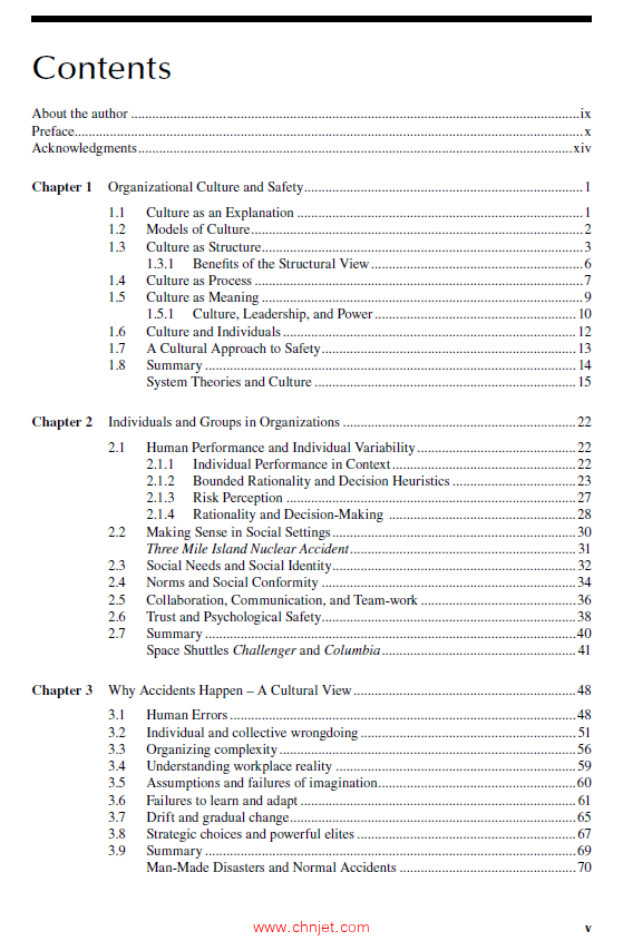 《Safety in Complex Organizations：A Cultural Approach》