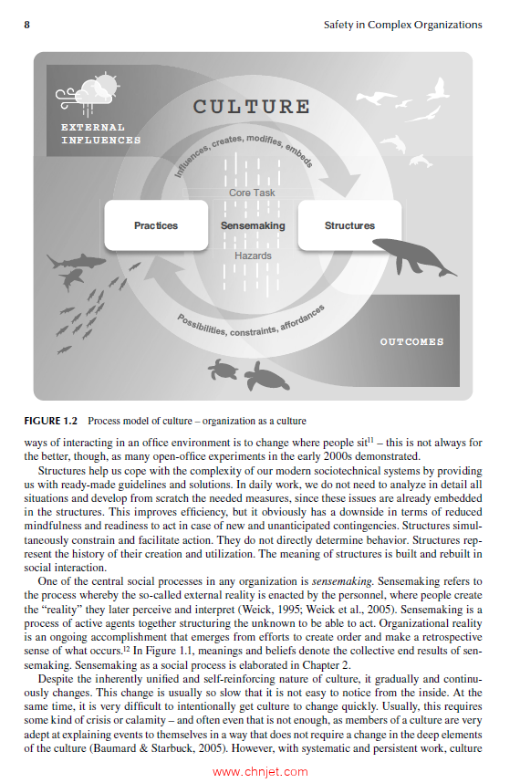 《Safety in Complex Organizations：A Cultural Approach》